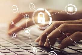 Mein Freund der Biber